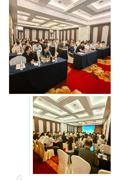 1721024658122381.png 1721024652632.png